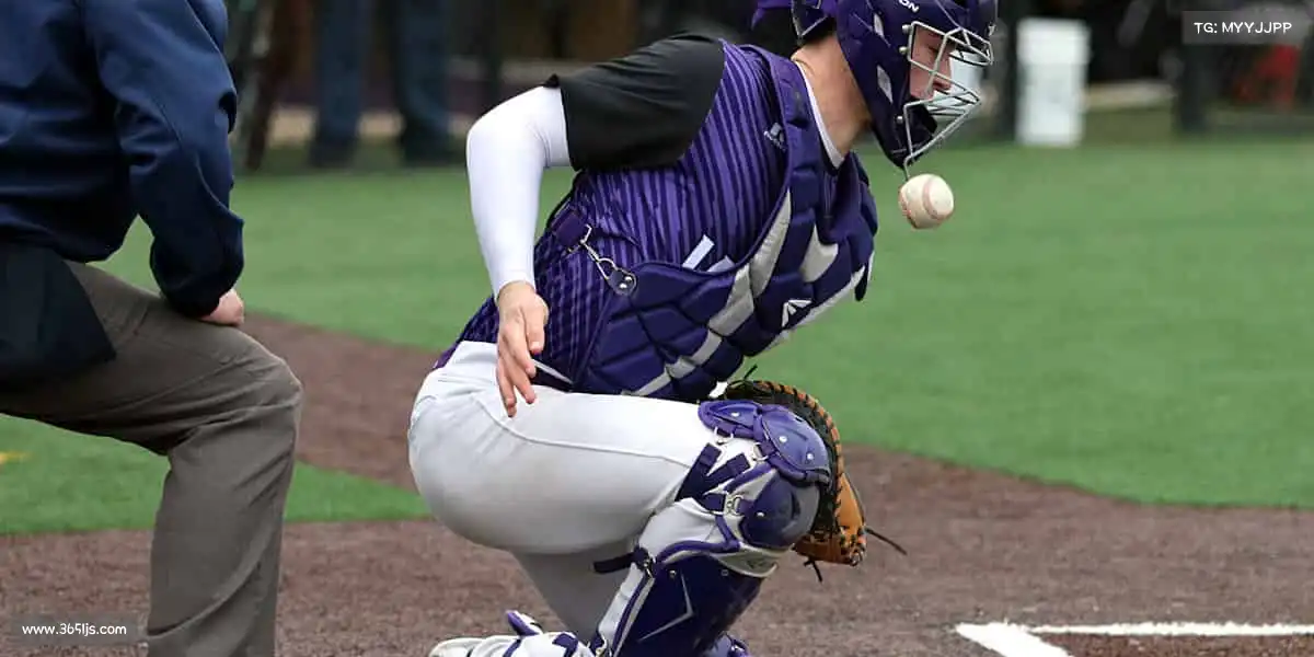 德赢vwin——用汗水浇灌梦想,以拼搏定义青春!🏀